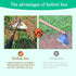Garden Hoe All-Steel Hardened Hollow Hoe, Sharp Durable Garden Weeding Tools, Garden Edger Weeder Portable Household Vegetable Garden Shovel for B...