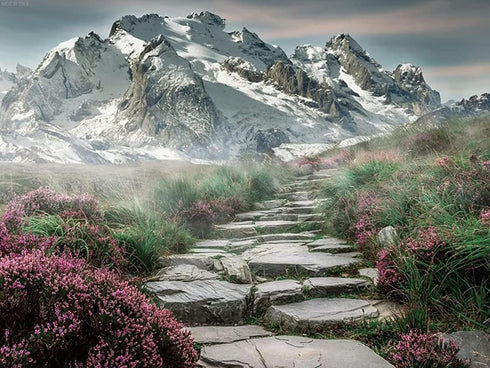 MOER SKY Natural Scenery 5D Diamond Painting for Adults, Snow Mountain Full Round Drill Diamond Art for Handmade Art Lovers, Home Decor Art Craft ...
