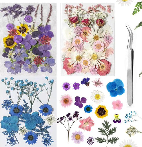 Dried Flowers Dried Flower Real Dried Pressed Flowers for Jewelry Candle Card Making DIY Resin Ornaments Nail Art Flowers Decorations...
