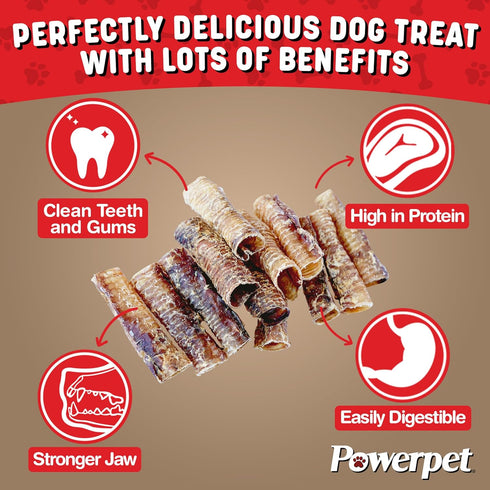 Beef Trachea Dog Chew - 100% All Natural & Highly Digestible - Low Fat, Protein-Rich Treat - Ideal for All Breed Sizes - Healthy, Tasty, and Long-...