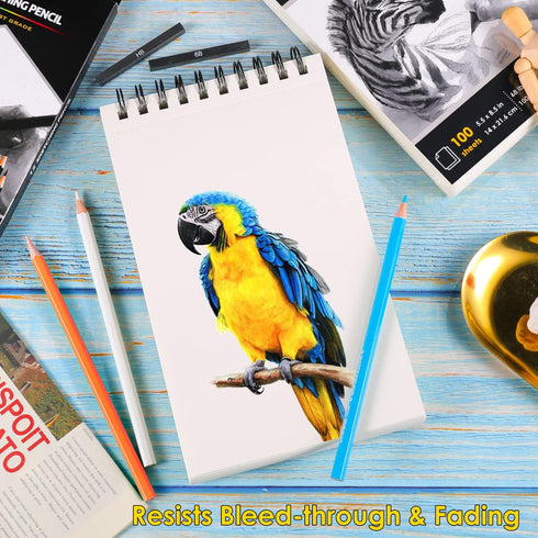 Dyvicl Sketch Pad 5.5"x8.5" Sketch Book, 100 Sheets (68 lb/100gsm), Spiral Sketchbook Acid Free Drawing Paper for Kids Adults Beginners Artists...