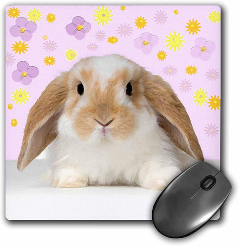 3dRose LLC 8 x 8 x 0.25 Inches Mouse Pad, Rabbit (mp_4802_1)...