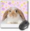 3dRose LLC 8 x 8 x 0.25 Inches Mouse Pad, Rabbit (mp_4802_1)...