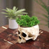 READAEER Skull Bowl Resin Skull Shaped Planter Flower Pot Candy Bowl for Home Office Indoor Desk Decorations - White...