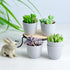 Youngever 24 Pack 5CM Mini Plastic Planters, Indoor Flower Plant Pots, Grey Gardening Pot with Drainage - NO Plant Included (Modern)...