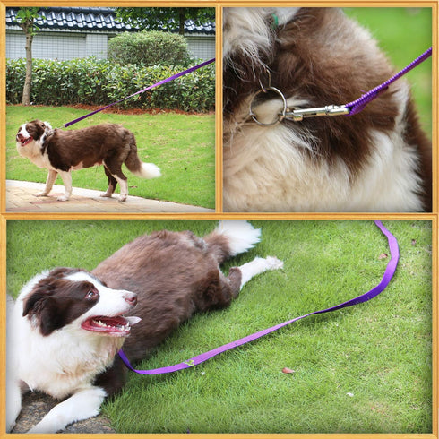 AmaGood Dog/Puppy Obedience Recall Training Long Dog Leash- 20 feet 30 feet 50 feet 15 feet Long Leash for Dogs Training,Recall,Play,Safety,Campin...