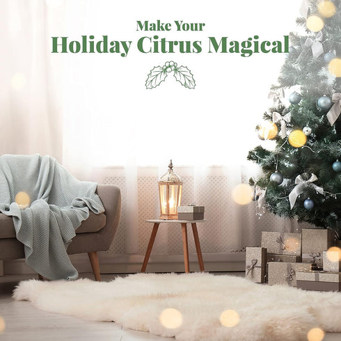 Citrus Magic Holiday Odor Eliminating Air Freshener Spray, Winter Wonder Green, 3-Ounce, Pack of 3...