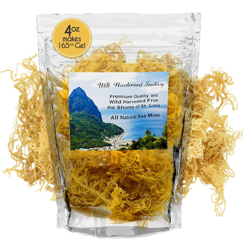 Certified Wild Harvested Gold Irish raw Sea Moss from St.Lucia,Makes 165 oz gel, Dr.Sebi Grade,Wild Harvested Powerful Antioxidants,Vitamins,Miner...