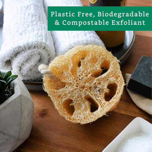 Natural Loofah Exfoliating Sponge (4 Pack) - Biodegradable Loofa Body Scrubber - Loofah Sponge - Loofah Exfoliating Body Scrubber - Organic Loofah...