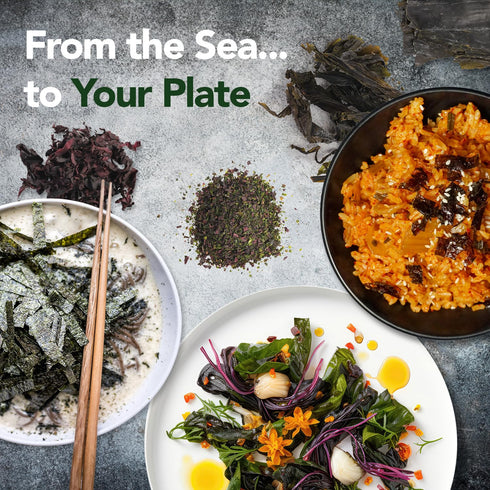 VITAMINSEA Dulse Dried Seaweed | Wild North Atlantic Seaweed for Snacking, Seasoning, Soups & Salads | Rich in Vitamins, Minerals & Antioxidants P...