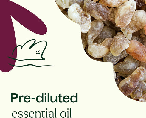 Plant Therapy Frankincense Carterii Essential Oil 100% Pure, Pre-Diluted Roll-On, Natural Aromatherapy, Therapeutic Grade 10 mL (1/3 oz)...