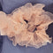 3 Yards Ruffle Pleated Chiffon Trim Two Layer Trimmer Dress Bag Decoration Tulle Fabric Applique Craft Sewing (Peach)...
