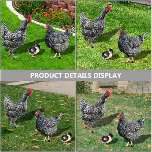 HOMSFOU 1 Set Chicken Yard Art Acrylic Decorative Garden Stakes Acrylic Hen Sculpture Animal Lawn Ornament for Patio Lawns Backyard Garden Decor...