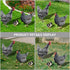 HOMSFOU 1 Set Chicken Yard Art Acrylic Decorative Garden Stakes Acrylic Hen Sculpture Animal Lawn Ornament for Patio Lawns Backyard Garden Decor...