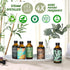 Folkulture Eucalyptus Essential Oil for Diffuser - 4 Fl Oz - 100% Pure, Natural and Undilluted Essential Oil, Premium Grade with Glass Dropper, Na...