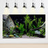 Aquarium Background Roots Cobblestone Underwater Various Aquatic Plants Terrarium Background Jungle Stones Style Aquarium Backdrop Fish Tank Backg...