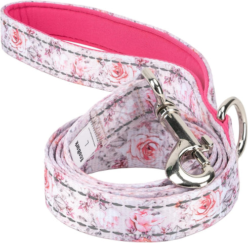 EcoBark Dog Leash - Soft & Reflective Comfort Leash with Padded Handle - Strong Durable Heavy Duty - Training and Pulling for Small, Medium or Lar...