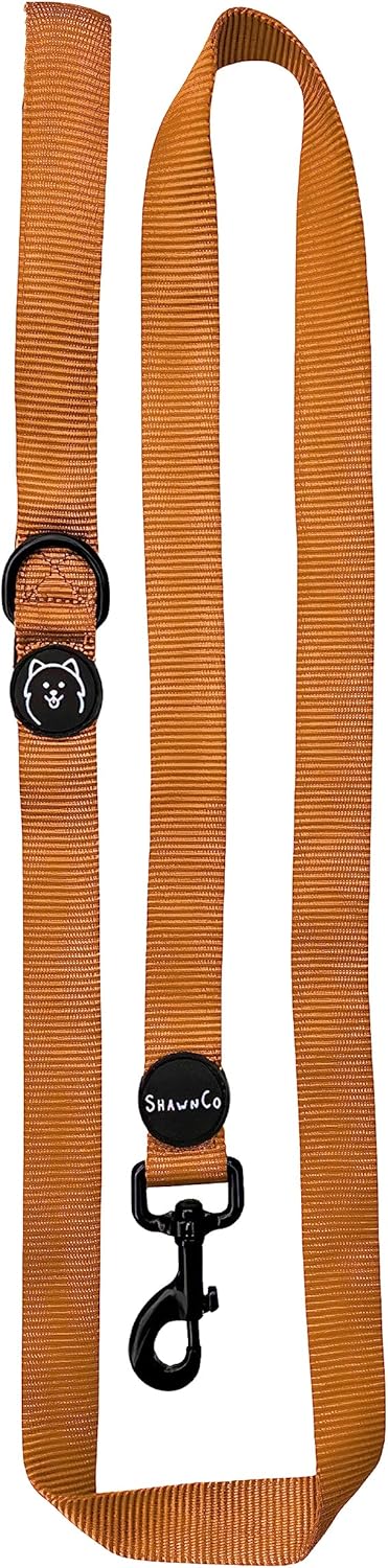 ShawnCo Dream Walk Dog Leash- Premium, Nylon Pet Leash with Soft Neoprene Handle for Small, Medium and Large Dogs (Sunset Orange, Medium/Large)...