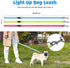 HIGO Rechargeable LED Dog Leash - 42.7" Reflective Light Up Dog Lead, High Visibility Glowing Safety Leash Light for Night Walking (Blue)...