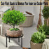 Plant Stand Indoor Outdoor Set of 1, Retro Design 10'' Round Plant Rack, Rust-proof Coated Metal Plant Stand, Heavy Duty Flower Pot Stands Outdoor...