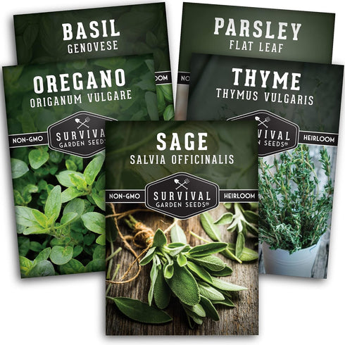 Survival Garden Seeds - Italian Herb Collection Seed Vault - Basil, Oregano, Thyme, Sage, Flat Leaf Parsley - Non-GMO Heirloom Varieties of Culina...