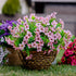 Artificial Flowers for Outdoors Fake Plants - 16 Bundles Faux Outside Greenery Boxwood No Fade Plastic Shrubs Fall Decor Farmhouse Home Garden Tha...