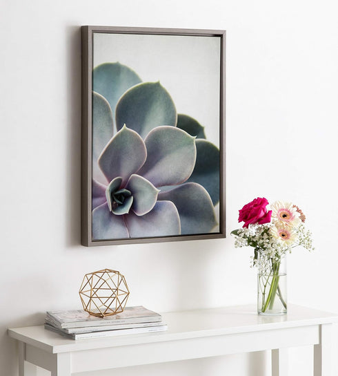 Kate and Laurel Sylvie Succulent 5 Framed Canvas by F2 Images, 18x24 Gray...