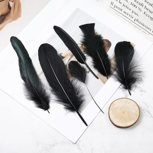 Larryhot Black Craft Feathers Bulk - 240pcs 6 Style Mixed Natural Feathers for Wedding Home Party, Dream Catcher Supplies and DIY Crafts (Black)...