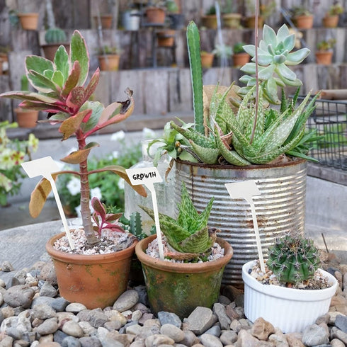 KINGLAKE GARDEN Outdoor Plastic Plant Labels 30 Pack 11.8 inch Outdoor Waterproof Sturdy Nursery Garden Markers,Plant Markers for Herbs,Flowers,Ve...
