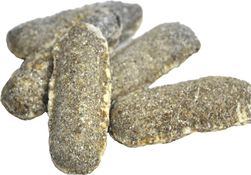 Jobe's Organics Succulent Fertilizer Spikes, Easy Plant Care for Succulent, Cactus, and Aloe Vera Plants, 12 Count...