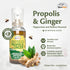 Beelife Propolis Throat Spray – Soothing Honey & Ginger Propolis - Natural Immune Support & Sore Throat Relief, Antioxidants, Rich in Flavonoids &...
