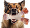 Dog Chew Toys for Aggressive Chewers Medium/Large Breed,Bacon Flavor,Tough Dog Bones with Nylon(1 Pack)...