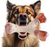 Dog Chew Toys for Aggressive Chewers Medium/Large Breed,Bacon Flavor,Tough Dog Bones with Nylon(1 Pack)...