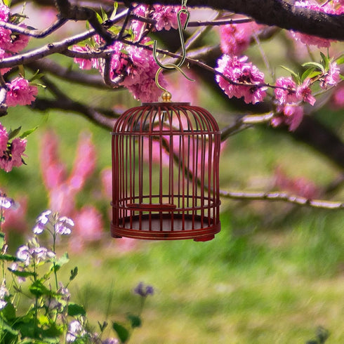 PRETYZOOM Pet Cage Garden Insert Shelter Hanging Cage Wood Cage Hamster Habitat Firefly Cage Cage Pets Supplies Vintage Bird Cage Hanging Cage Con...