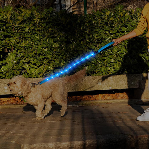 HIGO Rechargeable LED Dog Leash - 42.7" Reflective Light Up Dog Lead, High Visibility Glowing Safety Leash Light for Night Walking (Blue)...