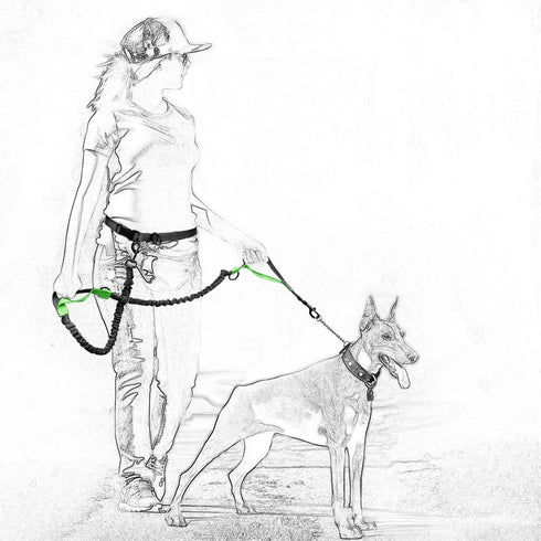 Mile High Life | Retractable Hands Free Dog 7FT Leash | Waist Running Adjustable | Reflective Dual Black Bungees | Dual Handles | Small Medium Lar...