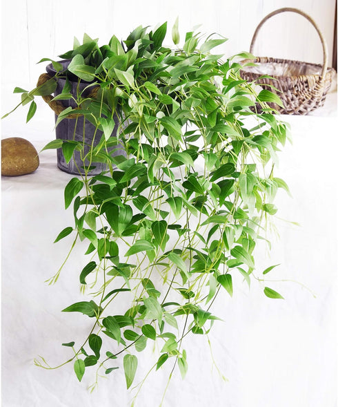 FiveSeasonStuff Versatile Decor Delight: Lush 28ft 10-Vine Set of Elegant Artificial Silk Clematis Leaves for Any Occasion or Event...