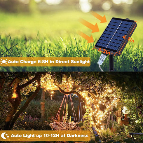 ZAIYW 300 LED 100Ft Solar Fairy Lights Outdoor, Solar Sliver Wire Fairy Lights with Timer Remote, Twinkle Lights Waterproof for Tree Garden Patio ...