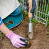 Berry&Bird Bulb Planter Tool, 12" Garden Bulb Transplanter Tool, Stainless Steel Manual Hole Digger with Wooden Handle, Transplanting Agricultural...