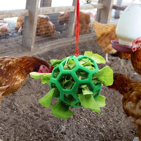 2pcs Chicken Vegetable Feeder Ball Hanging Feeding Toy, Poultry Fruit Holder Chicken Cabbage Feeder Treat Feeding Tool for Hens Chicken Coop Goose...
