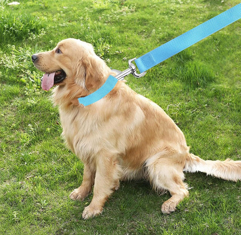4FT/5FT/6FT Strong Dog Leash, Nylon Dog Leashes for Small Medium Large Dogs (Blue, 1 in x 15 ft)...