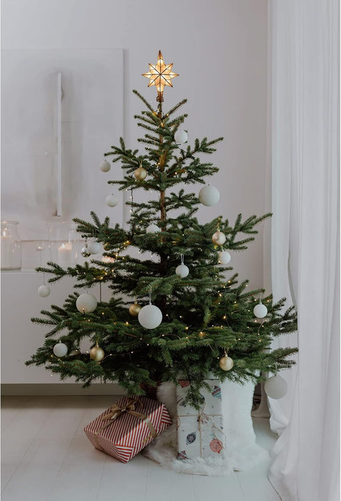 Kurt Adler UL0214/C 10-Light Capiz Star of Bethlehem Clear Treetop...