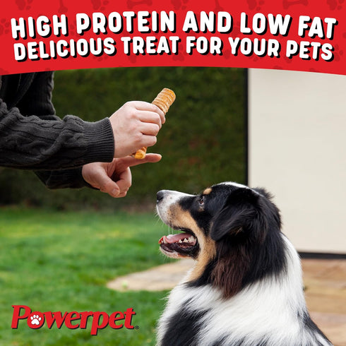 Beef Trachea Dog Chew - 100% All Natural & Highly Digestible - Low Fat, Protein-Rich Treat - Ideal for All Breed Sizes - Healthy, Tasty, and Long-...