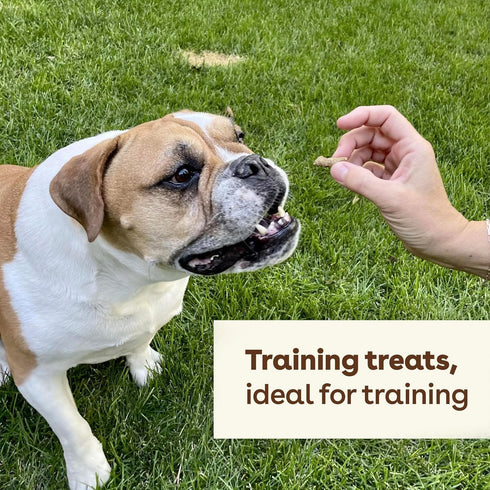 Pupford Freeze Dried Training Treats for Dogs & Puppies, 225+ Two Ingredient Bites (Salmon, 2 oz)...