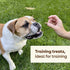 Pupford Freeze Dried Training Treats for Dogs & Puppies, 225+ Two Ingredient Bites (Salmon, 2 oz)...