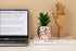 Porcelain Potted Artificial Succulent 7.8" Pineapple Ananas Plant Home Office Kitchen Window Bathroom Decoration (Rose Gold)...
