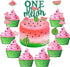 Set of 27 One in a Melon Cake Cupcake Toppers Glitter Watermelon Cake Toppers 1st Birthday Party Cake Decor Watermelon Themed Kids Party Supplies ...