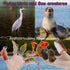 10 PCS Cute Finger Puppets Toys, a Very Good Educational Cognitive Toy, a Bridge for Children to Make Friends and Interact, Children’s Party Role-...