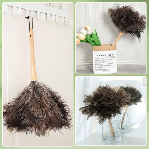 Ostrich Feather Duster, 16-Inch, Indulge in Effortless Elegance with Premium Reusable Design for Thorough, Eco-Friendly Cleaning of Delicate Items...