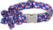 Lionet Paws Design Dogs Collar Cute Flower 4th of July Dog Collars for Girl Female Medium Large Dogs with Sundae L...